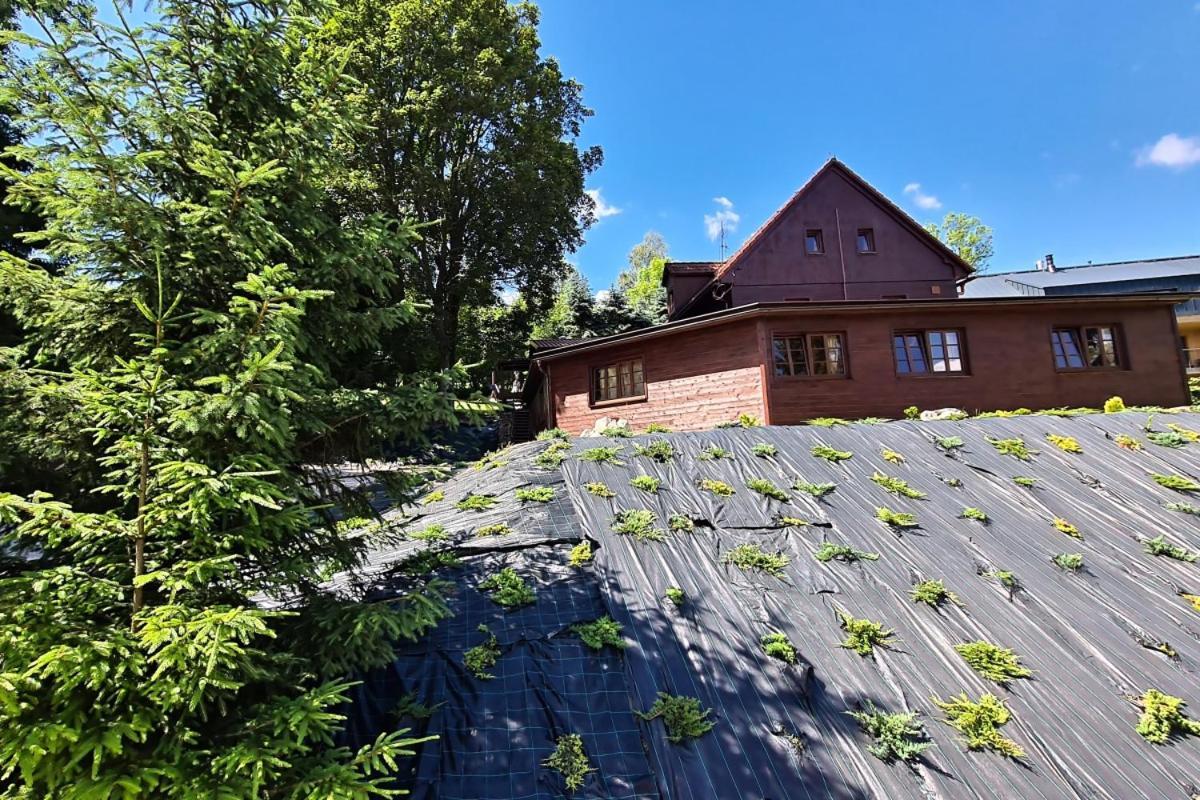 PENZION HARRY na sjezdovce KRKONOŠE Vysoké nad Jizerou Exteriér fotografie