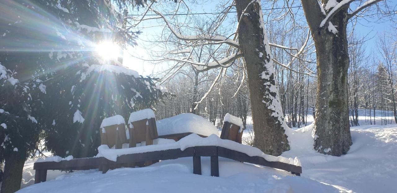 PENZION HARRY na sjezdovce KRKONOŠE Vysoké nad Jizerou Exteriér fotografie