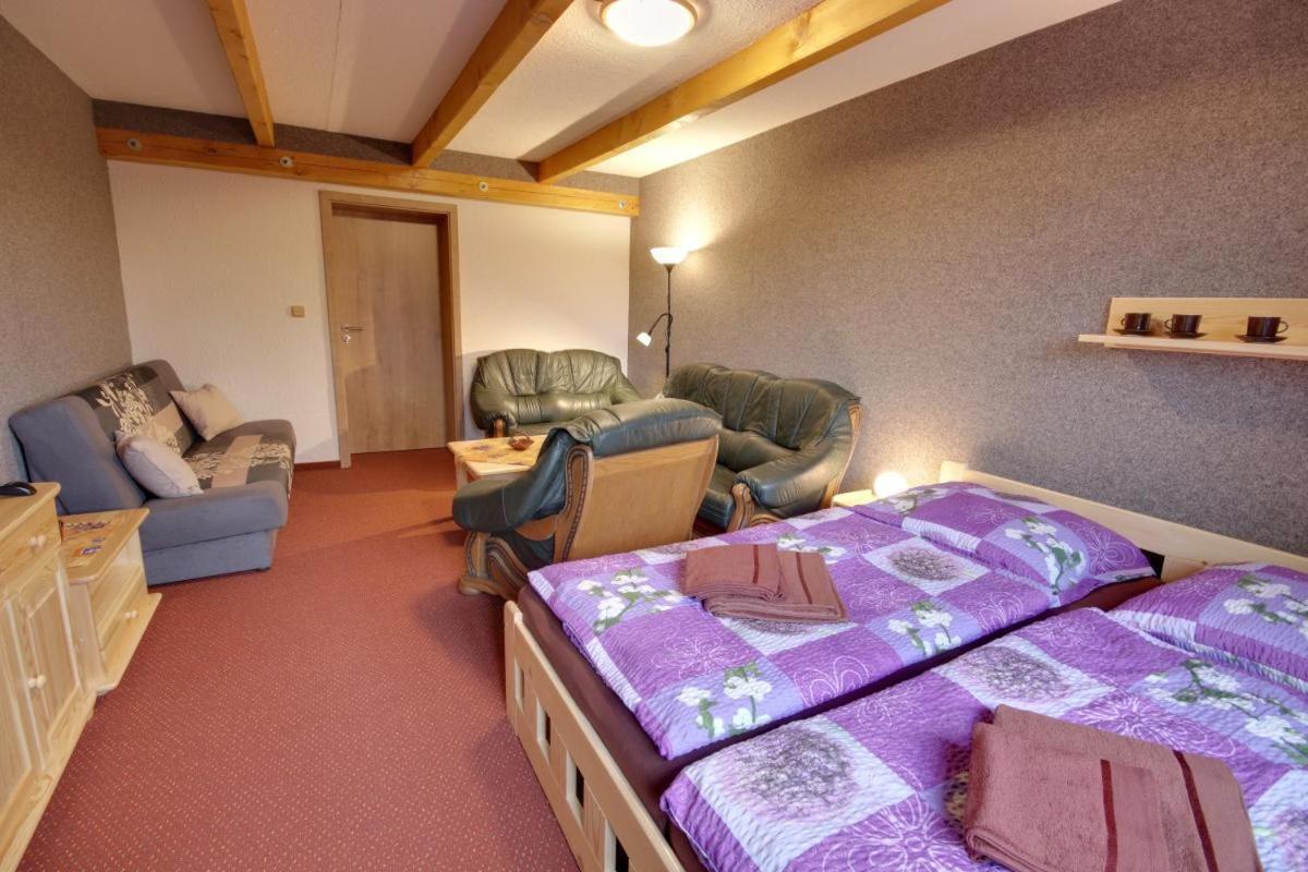 PENZION HARRY na sjezdovce KRKONOŠE Vysoké nad Jizerou Exteriér fotografie