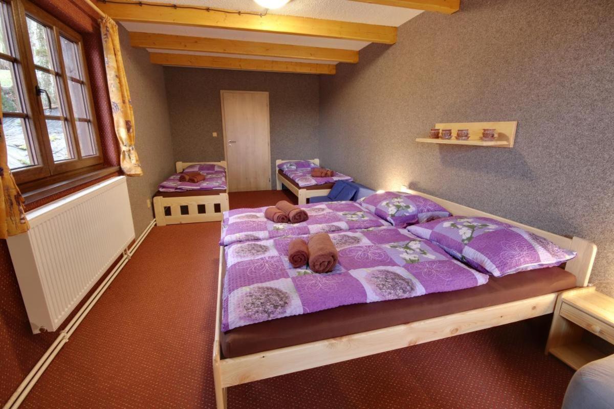 PENZION HARRY na sjezdovce KRKONOŠE Vysoké nad Jizerou Exteriér fotografie